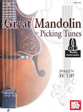 Carte Great Mandolin Picking Tunes Joe Carr