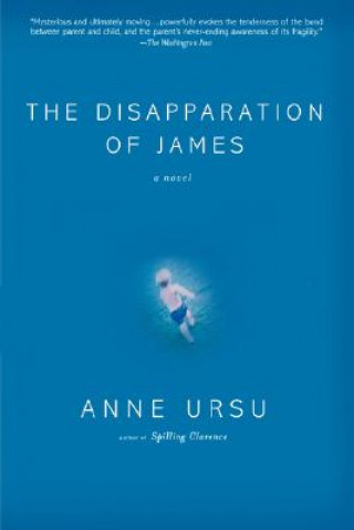 Buch Disapparation of James Anne Ursu