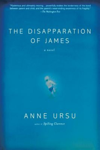 Kniha The Disapparation of James Anne Ursu
