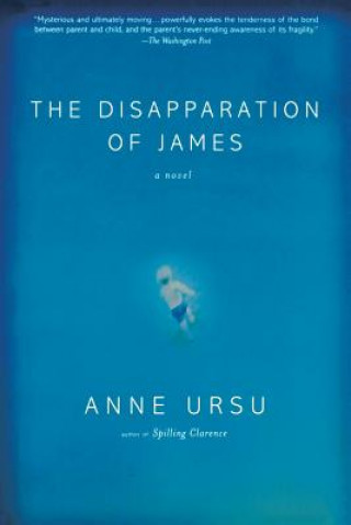 Buch The Disapparation of James Anne Ursu