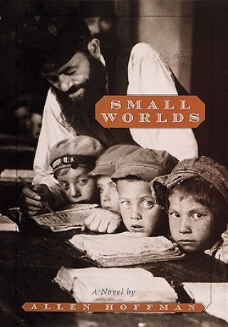 Kniha Small Worlds Allen Hoffman