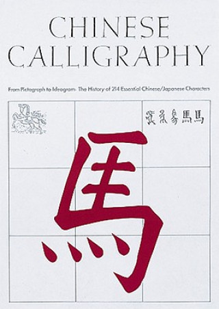 Kniha Chinese Calligraphy Edoardo Fazzioli