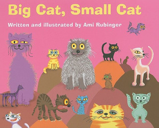 Книга Big Cat, Small Cat Ami Rubinger