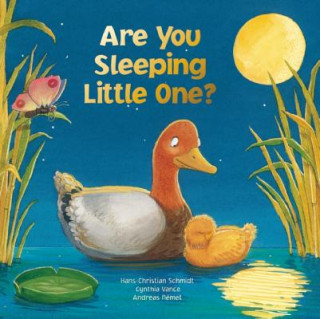 Livre Are You Sleeping Little One Hans-Christian Schmidt