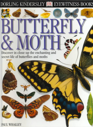 Книга DK EYEWITNESS BOOKS BUTTERFLY AND MOTH Paul Whalley