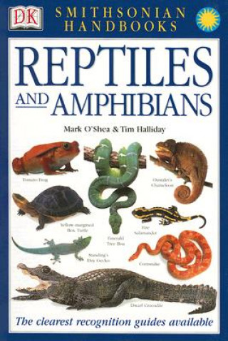 Książka Reptiles and Amphibians Mark O'Shea