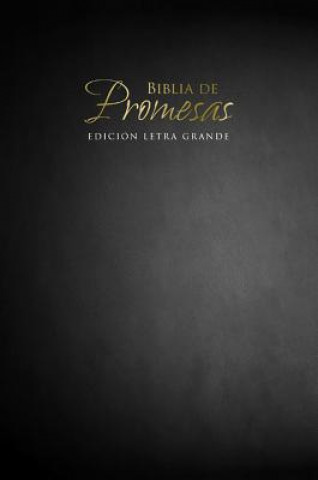 Książka Biblia de Promesas Letra Grande-Rvr 1960 Unilit