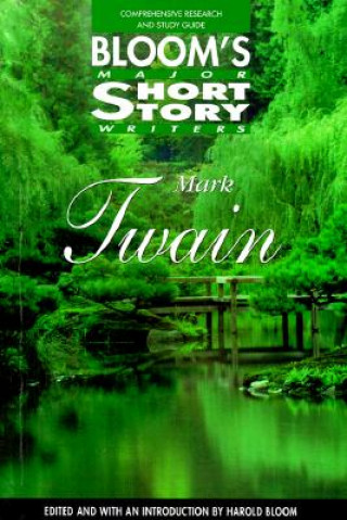 Buch Mark Twain Harold Bloom