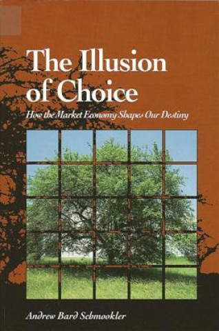 Kniha Illusion of Choice: How the Market Economy Shapes Our Destiny Andrew Bard Schmookler