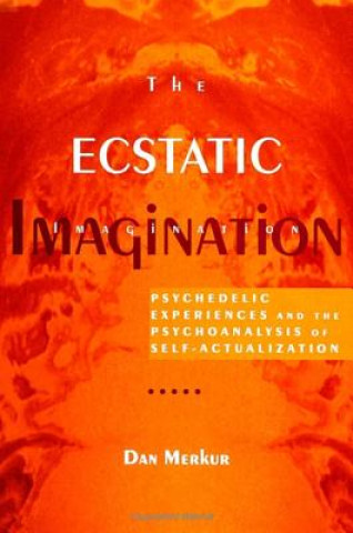 Könyv The Ecstatic Imagination Dan Merkur