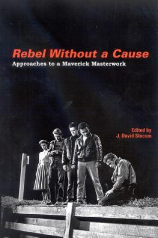 Kniha Rebel Without a Cause: Approaches to a Maverick Masterwork J. David Slocum