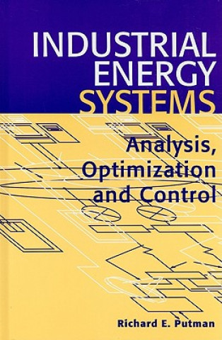 Könyv Industrial Energy Systems: Analysis, Optimization and Control Richard E. Putman