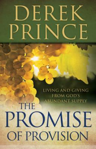 Kniha The Promise of Provision: Living and Giving from God's Abundant Supply Derek Prince