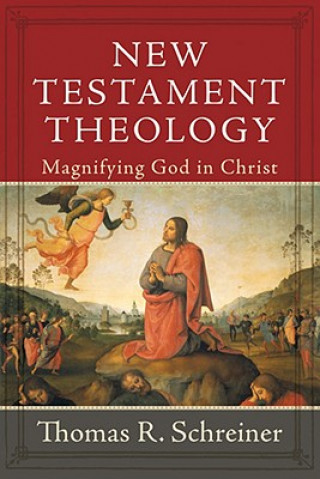 Kniha New Testament Theology: Magnifying God in Christ Thomas R. Schreiner