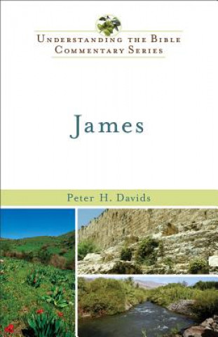 Kniha James Peter H. Davids