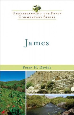 Livro James Peter H. Davids