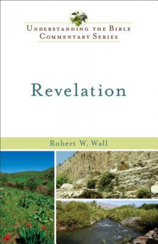 Kniha Revelation Robert W. Wall