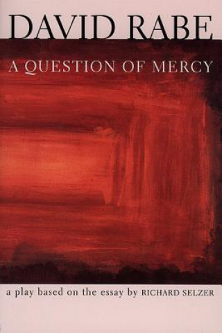 Book Question of Mercy David Rabe