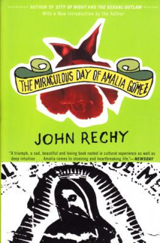 Könyv The Miraculous Day of Amalia Goomez John Rechy