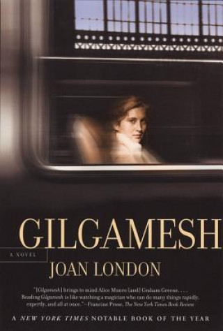 Knjiga Gilgamesh Joan London