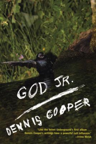 Buch God Jr. Dennis Cooper