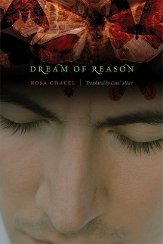 Kniha Dream of Reason Rosa Chacel