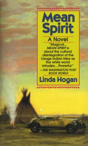 Kniha Mean Spirit Linda Hogan