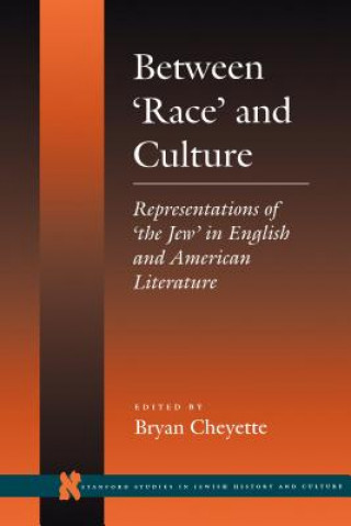 Книга Between 'Race' and Culture Bryan Cheyette