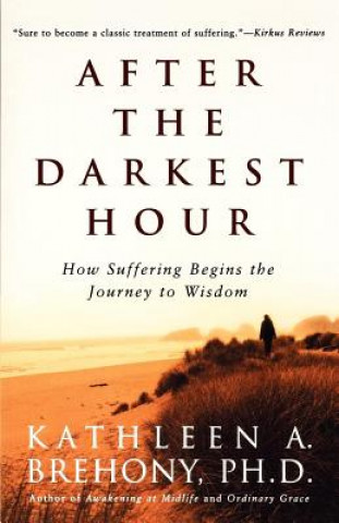 Kniha After the Darkest Hour Kathleen A. Brehony