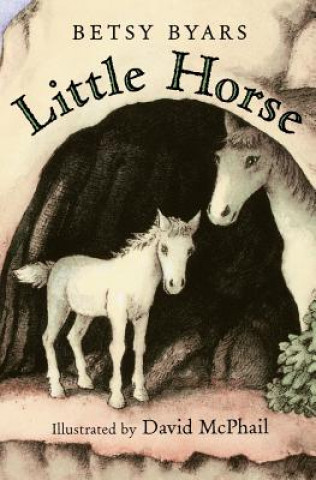 Kniha Little Horse Betsy Cromer Byars