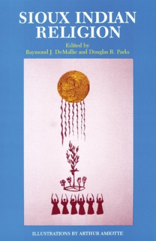 Kniha Sioux Indian Religion Raymond J. Demaillie