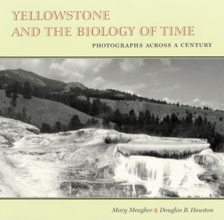 Kniha Yellowstone and the Biology of Time: Indian Allotments in Alabama and Mississippi 1830-1860 Mary W. Meagher