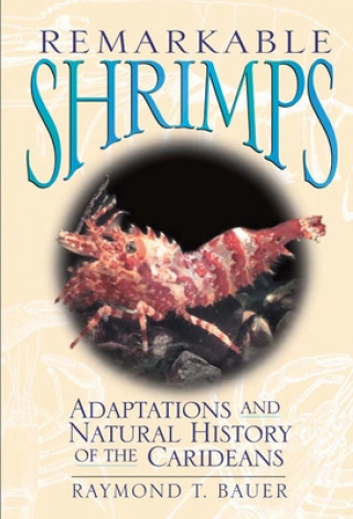 Buch Remarkable Shrimps Raymond T. Bauer