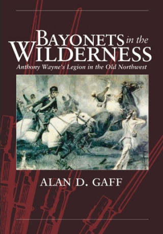 Kniha Bayonets in the Wilderness Alan D Gaff