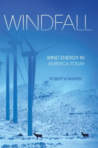 Kniha Windfall Robert W. Righter