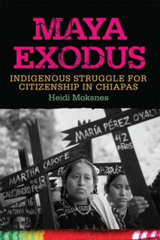 Kniha Maya Exodus Heidi Moksnes