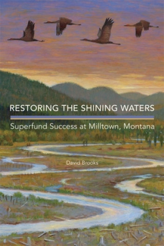 Kniha Restoring the Shining Waters: Superfund Success at Milltown, Montana David Brooks