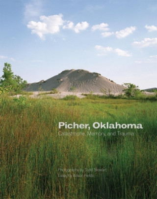 Książka Picher, Oklahoma: Catastrophe, Memory, and Trauma Todd Stewart