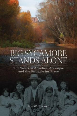 Kniha Big Sycamore Stands Alone Ian W. Record