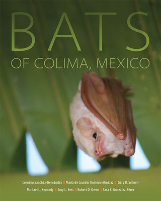 Książka Bats of Colima, Mexico Cornelio Sanchez-Hernandez