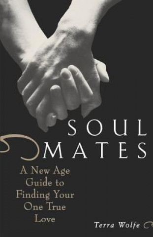 Könyv Soul Mates Terra Wolfe
