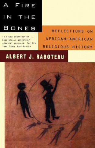 Buch Fire in the Bones Albert J. Raboteau