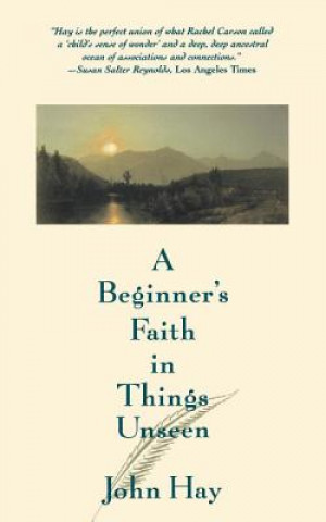 Könyv Beginner's Faith in Things Unseen John Hay