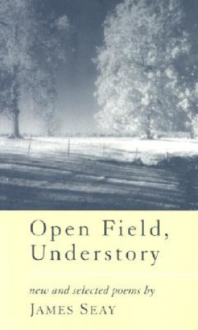 Книга Open Field, Understory James Seay