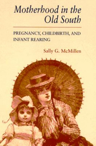 Książka Motherhood in the Old South Sally Gregory McMillen