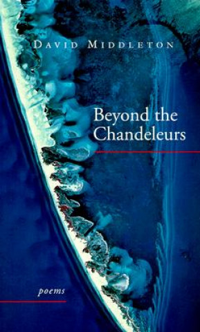 Knjiga Beyond the Chandeleurs: Poems David Middleton