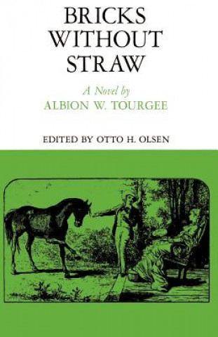 Carte Bricks Without Straw Albion W. Tourgee