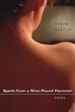 Книга Sparks from a Nine-Pound Hammer Steve Scafidi