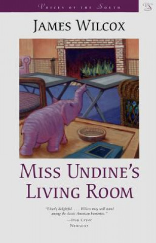 Könyv Miss Undine's Living Room James Wilcox