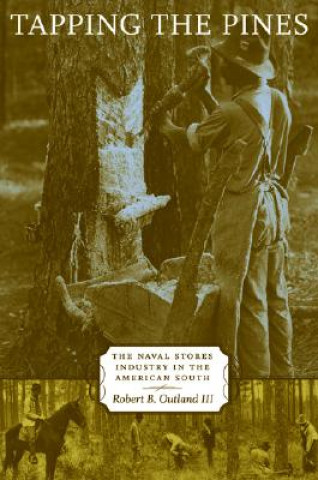 Libro Tapping the Pines Robert B. Outland